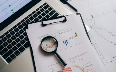 How to Successfully Navigate a Tax Audit: A Legal Perspective