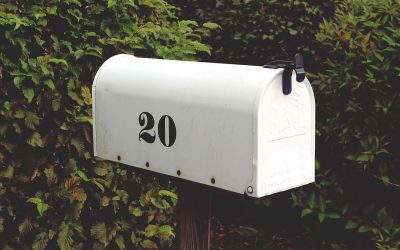 IRS Notices Explained: What to Do When You Receive a CP501 or CP504